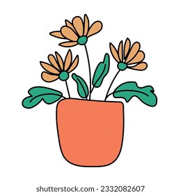 Indoor flowers in a pot on a white background