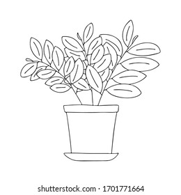 Indoor flowers in a pot in the style of Doodle.Contour hand drawing.Black and white image.Coloring.Vector illustration