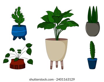 Flores interiores en macetas. Hermosas flores. monstruo, ficus, plantas, flores frescas. Grano de flores rojo y azul. Aislado sobre fondo blanco, vector. Ilustración del vector