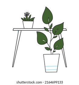 Indoor flowers in pots on table. Home plants. Cartoon vector isolated on white background