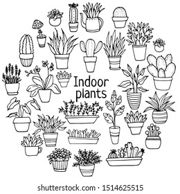 Indoor flowers in pots painted black line on a white background. Vector hand drawing doodles of plants