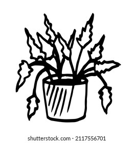 Indoor flowers , potted plants , planters .Black and white illustration ,doodles ,abstraction,vector ,coloring book for children and adults.