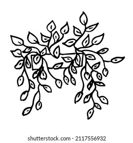 Indoor flowers , potted plants , planters .Black and white illustration ,doodles ,abstraction,vector ,coloring book for children and adults.