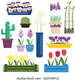 Indoor and garden flowers in pots. Home and seasonal  flowers vector illustration. Icons, isolated design elements, labels. Domestic and garden flowers clip art. Tulips, bamboo, daffodils, lavender