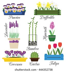 Indoor and garden flowers in pots vector set. Home and seasonal flowers vector illustration. Icons, isolated design elements, labels