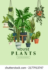 Indoor garden house plants collection. Botanical vector illustration.