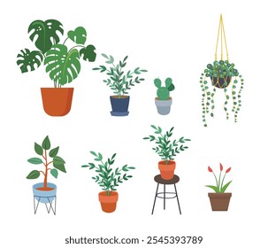 Indoor garden potted plants. Houseplants for interior home decoration, green plant in flowerpot stock illustration