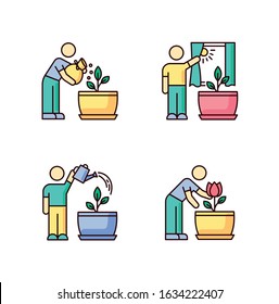 Indoor gardening stages RGB color icons set. Houseplant caring. Planting process. Plant cultivation. Fertilizing soil, watering flowers. Exposing plants to sunlight. Isolated vector illustrations