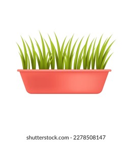 Indoor grass or plants growing in red pot 3D illustration. Cartoon drawing of green grass in flowerpot in 3D style on white background. Houseplants, nature, botany concept