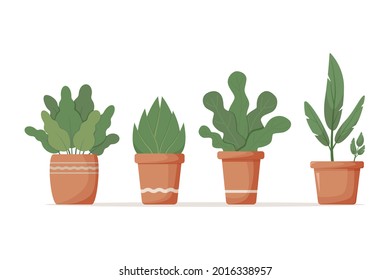 Indoor green flowers in clay pots, isolated on white background. Cute curly  leaves of houseplants. Beautiful home flowers for home, office, cafe interior decoration. Cartoon vector illustration