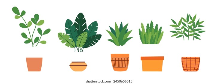 Plantas verdes de interior. Vegetación para decoración de interiores, amantes de las plantas. Flores en una maceta en estilo plano. Ilustración vectorial.