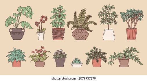 Plantas verdes interiores. Vector conjunto de planta de la casa en el borde de la flor doodle ilustración aislada.