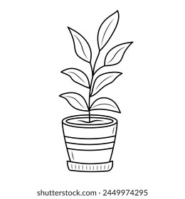 Indoor home plant with leaves in a pot. Line art doodle houseplant. Coloring book for kids.