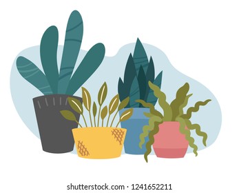 Indoor home plants in pots composition. Group of potted flowers and succulents, decorative arrangement for greeting card. Vector illustration clipart, trendy flat cartoon Scandinavian style.