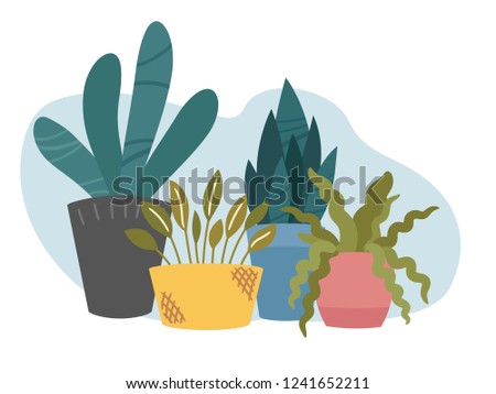 Indoor home plants in pots composition. Group of potted flowers and succulents, decorative arrangement for greeting card. Vector illustration clipart, trendy flat cartoon Scandinavian style.
