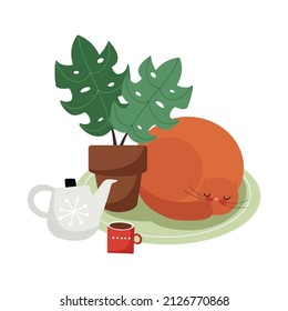 Indoor home scenery with ginger cat sleeping on a cloth tissue, with teapot, cup and potted plant. Hand drawn vector illustration