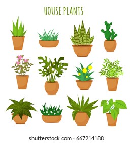 Indoor house green plants and flowers isolated on white vector set. Green plants in pots, illustration of green garden flower plant