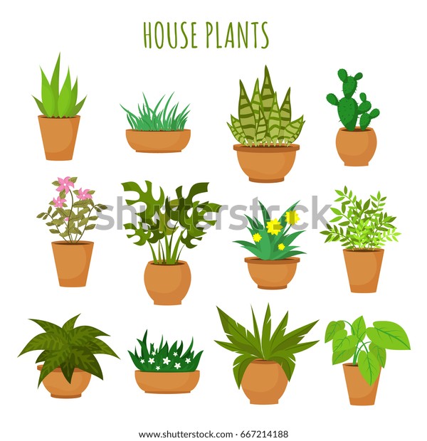 白いベクター画像セットに室内の緑の植物と花 鉢の中の緑の植物 緑の花のイラスト のベクター画像素材 ロイヤリティフリー