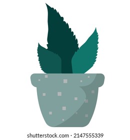 Indoor house plant.Poster.banner,label. Blue, brown and pastel colors.