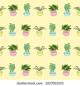 Indoor house plants. Flowers in pots. Seamless pattern. Unusual design of flower shop decoration Paper design for packing flowers. Vector