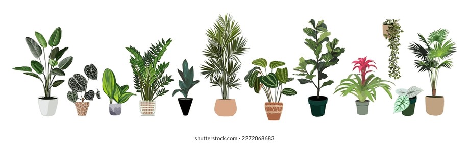 Indoor house plants vector set isolated on white.