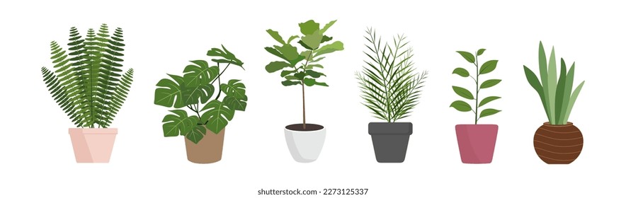 Plantas interiores vectoriales montadas en ilustración de estilo plano. Colección de plantas domésticas aisladas en fondo blanco. Ilustración vectorial plana