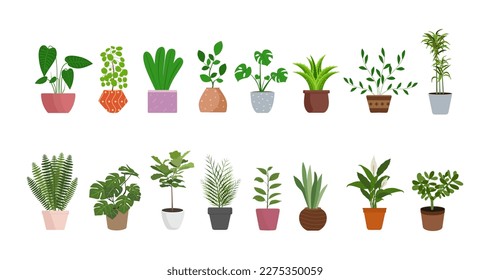 Indoor house plants vector set. Flat style illustration. Houseplant collection isolated on white background. House flowers, vector illustration