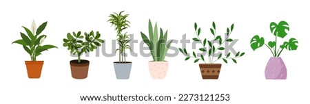 Indoor house plants vector set isolated on white background. Houseplant collection. Flat vector illustration