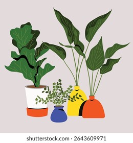 Indoor Houseplants in Colorful Pots Vector – Modern Botanical Home Decor Illustration