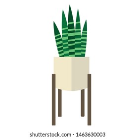 Indoor houseplants in geometric pots