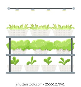 Indoor hydroponic farm with green plants on white background. Vector illustration