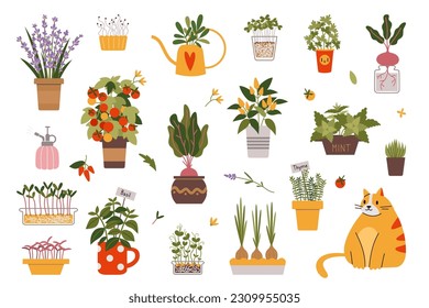 Indoor kitchen garden plants set with cat, cartoon style. Various types of Herbs, vegetables and Microgreens in a pots. Urban gardening hobby. Trendy isolated vector illustration, hand drawn, flat.