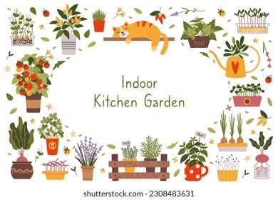 Indoor kitchen garden set, cartoon style. Herbs, vegetables and Microgreens in a pots. Urban home gardening hobby, Cozy activity. Trendy modern isolated vector illustration, hand drawn, flat.