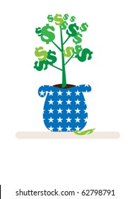 Indoor money tree - a symbol of family economy