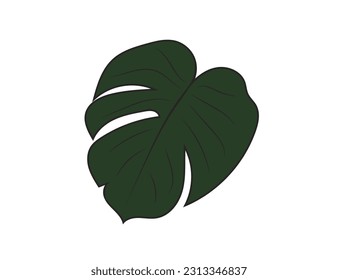 Indoor (office) plant - monstera leaf. Design. Vector icon