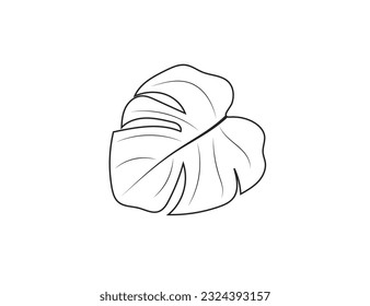 Indoor (office) plant - monstera leaf. Design. Vector icon
