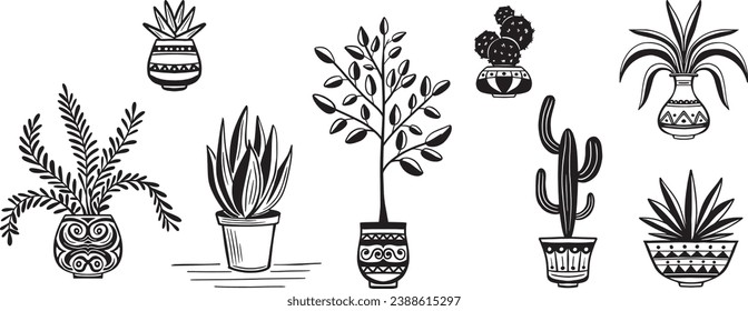 indoor and outdoor garden plants in pot hand drawn vector illustration