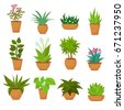 plant pot vector