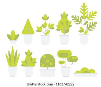 Indoor and outdoor landscape garden potted plants isolated on white. Vector set green plant in pot, illustration of flowerpot bloom 