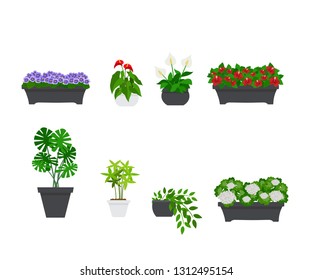 Indoor and outdoor landscape garden potted plants isolated on white. Vector set green plant in pot, illustration of flowerpot bloom - 
