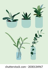 Indoor and outdoor landscape garden potted plants vector image. Flat vector design isolated on green background. Image for postcards, banners, ads...