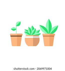 Indoor and outdoor landscape garden potted plants isolated on white. Vector set green plant in pot, illustration of flowerpot bloom. Pot plant set. Plant in pot minimal design on white background.