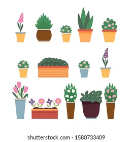 Indoor and outdoor potted plants. Vector set with house and garden plants and flowers. 