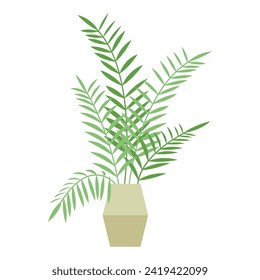 Indoor plam houseplant. Tropical green botany plant in pot, greenery home design cartoon vector illustration