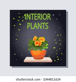 Indoor plant. Banner flower on black background with drops. Pot with a plant on a wooden shelf. Isolated icon. Vector illustration.

