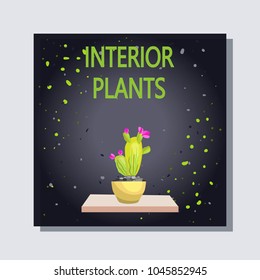 Indoor plant. Banner flower on black background with drops. Pot with a plant on a wooden shelf. Isolated icon. Vector illustration.


