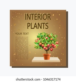 Indoor plant. Banner flower on golden background with drops. Pot with a plant on a wooden shelf. Isolated icon. Vector illustration.

