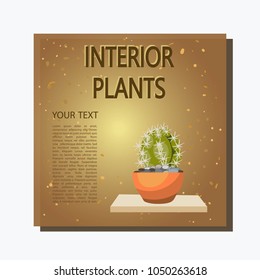 Indoor plant. Banner flower on golden background with drops. Pot with a plant on a wooden shelf. Isolated icon. Vector illustration.

