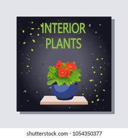 Indoor plant. Banner flower on black background with drops. Pot with a plant on a wooden shelf. Isolated icon. Vector illustration.

