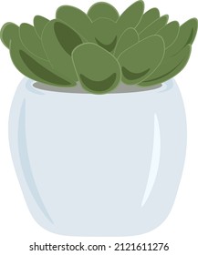 indoor plant in a blue pot